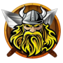 Vikings universo campos