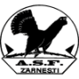 Asc Olimpic Zarnesti