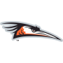 Delmarva Shorebirds