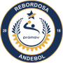 P Rebordosa Andebol