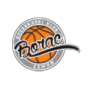 KK Borac Zemun