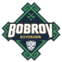 Bobrov Division