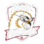 Medak Falcons