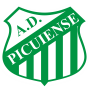Picuiense PB