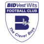 Bidvest Wits FC