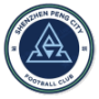 Shenzhen Peng City Srl