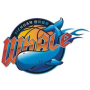 Sichuan Jinqiang Blue Whale (F)
