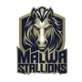 Malwa Stallions