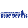Blue Devils WR Neustadt