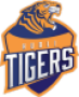 Hubli Tigers