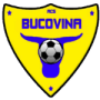 Csm Bucovina Radauti