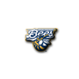 Burlington Bees