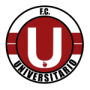FC Universitario de Vinto