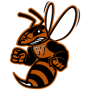 Waynesburg Yellow Jackets