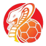 HSG Bad Wildungen Vipers (F)
