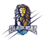 Ft Lauderdale Lions