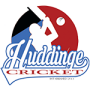 Huddinge Cc