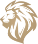Lyon Gaming Academy