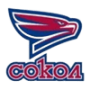 Sokol Krasnoyarsk