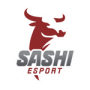 Sashi Academy
