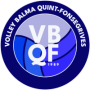 Volley Balma Quint Fonsegrives