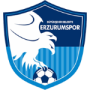 Buyuksehir Belediye Erzurumspor Srl