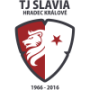 Tj Slavia Hradec Kralove