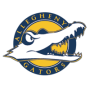 Allegheny Gators