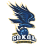 MKS Sokol Miedzychod