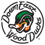 Down East Wood Ducks