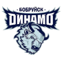 Shinnik Bobruysk