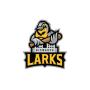 Bismarck Larks