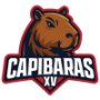 Capibaras Xv
