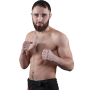 Amirkhan Adaev
