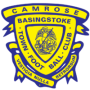 Basingstoke Town