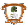 Ashford Town FC
