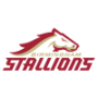 Birmingham Stallions