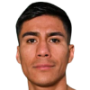 Pedroza Portillo F.