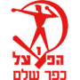 Hapoel Kfar Shalem FC
