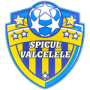 ACS Spicul Vilcele