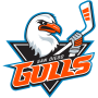 San Diego Gulls