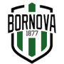 Viven Bornova FK