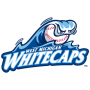 West Michigan Whitecaps
