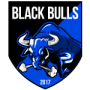 Black Bulls FC