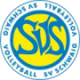 SV Schwaig