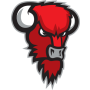 Bisons Loimaa