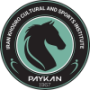 Peykan