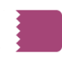 Qatar U20