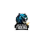 Kochi Blue Tigers