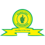 Mamelodi Sundowns